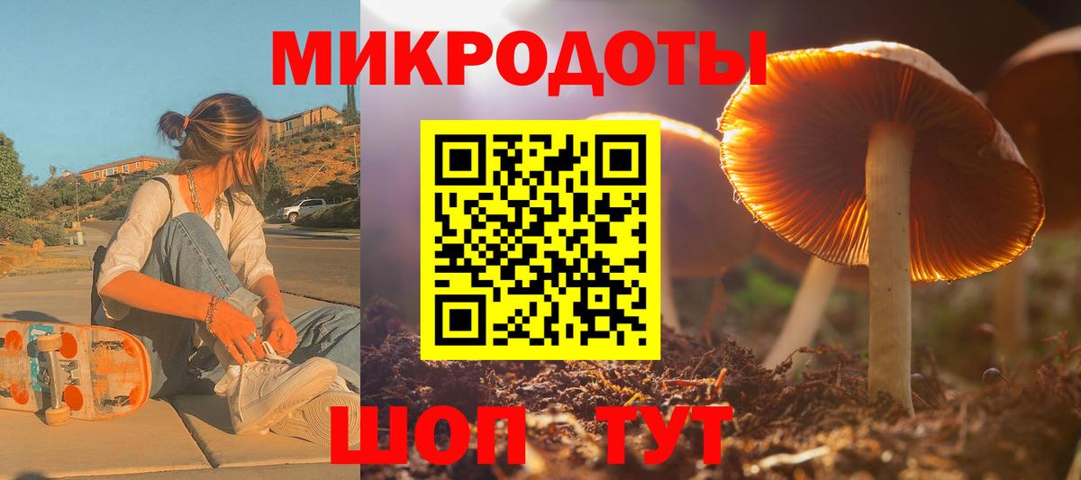 Псилоцибиновые грибы прущие грибы Зеленогорск