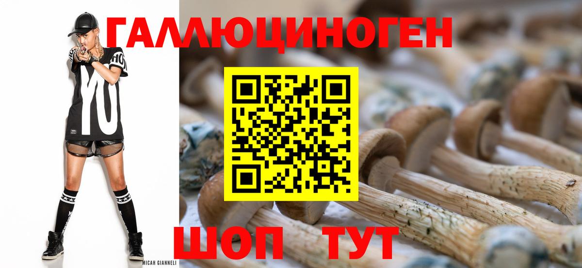 Зеленогорск  Галлюциногенные грибы GOLDEN TEACHER  Вход с VPN  купить  сайты  Галлюциногенные грибы Cubensis 